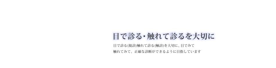 目で診る・触れて診るを大切に